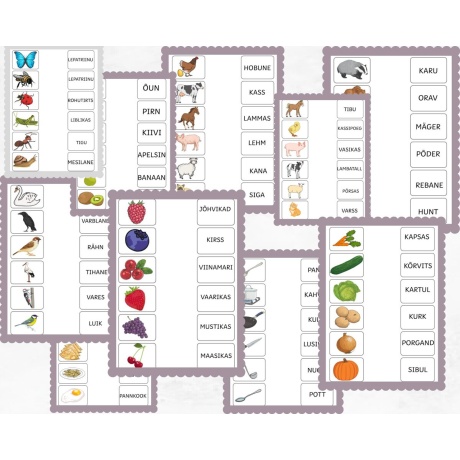 Lugemisharjutus - ühenda sõna õige pildiga